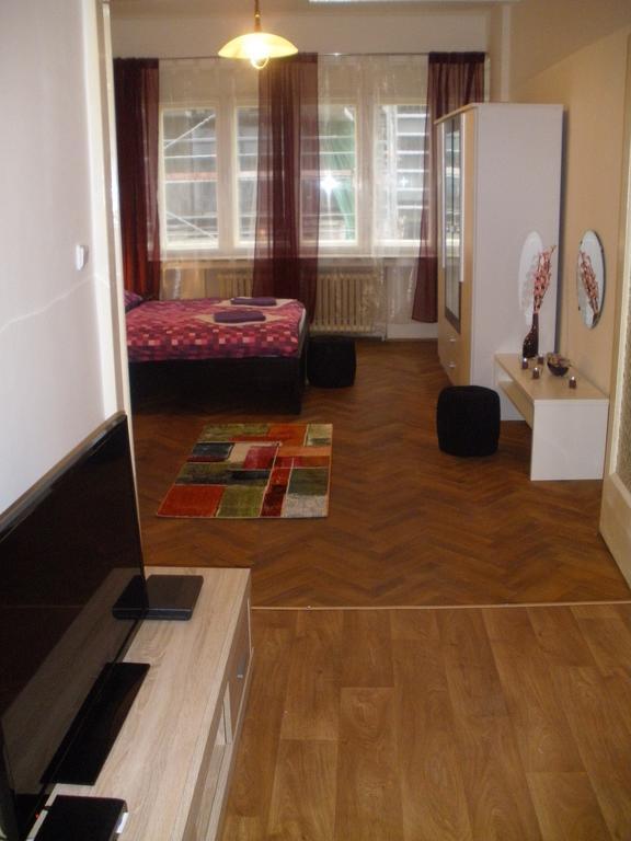 Apartments Tronicek Прага Стая снимка